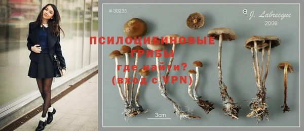 герыч Алзамай