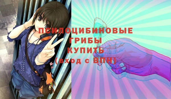 метамфетамин Алексин