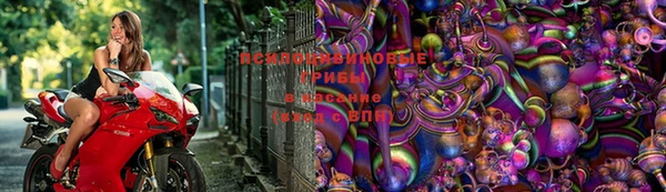 трава Алексеевка